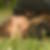 Profilbild von Alexandra Breer