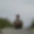 Profilbild von Sascha Truckenbrodt