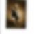 Profilbild von Doreen Mann