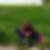 Profilbild von Michaela Setter
