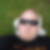 Profilbild von Henrik Henoch