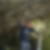 Profilbild von Danny Schneider