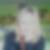 Profilbild von Birgit Saatkamp