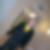 Profilbild von Tobias Thomas