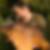 Profilbild von Bernd Hahne