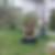Profilbild von Solveig Buchin
