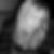 Profilbild von Susann Riemer
