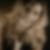 Profilbild von Evelyn Fehling