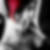 Profilbild von Anna Knoth