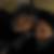 Profilbild von Marion Schwitters