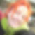 Profilbild von Sabrina Wisniewski