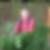 Profilbild von Susanne Taenzer 