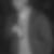 Profilbild von Adrian Lazaruk
