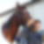 Profilbild von Torsten Petsch