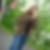 Profilbild von Beatrice Fischer