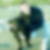 Profilbild von Thomas Scheil