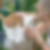 Profilbild von Stefanie Striewe