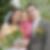 Profilbild von Nicole Leißring