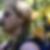 Profilbild von Thomas Barthel