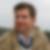 Profilbild von Michael Reich