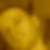Profilbild von Markus Winkler
