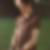 Profilbild von Jeffrey Nellissen
