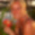 Profilbild von Susanne Wrobel