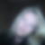 Profilbild von Dorthe Japs