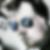 Profilbild von Alexander Rick