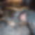 Profilbild von Alexander Honner