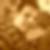 Profilbild von Lars Fuchs