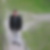 Profilbild von Lutz Gode