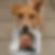 Profilbild von Thomas Steek