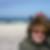 Profilbild von Mandy Seehaus