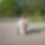 Profilbild von Susanne Fauner