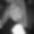 Profilbild von Yvonne Petersen
