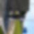 Profilbild von Matthias Finke