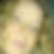 Profilbild von Franziska Viehl