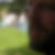 Profilbild von Erik Hamann