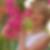 Profilbild von Katharine Giese