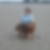 Profilbild von Jutta Purchase