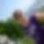 Profilbild von Susann Stoppe