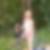 Profilbild von Susanne Gonzalez