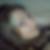 Profilbild von Elisabeth Kiefer