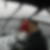 Profilbild von Bernd Besarese