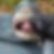 Profilbild von Sebastian Tschöpe