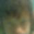 Profilbild von Volker Ulrich