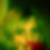 Profilbild von Nadine Bruns