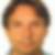 Profilbild von Peter Gaing 