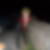 Profilbild von Silvia Weidemann